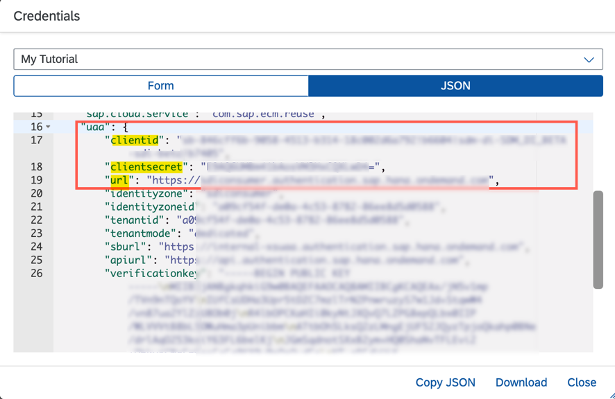 access_token Details